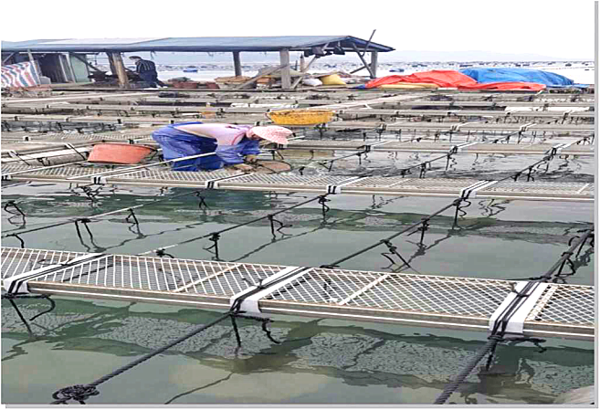 1756979383764195.png 微信图片_20250903173822.png